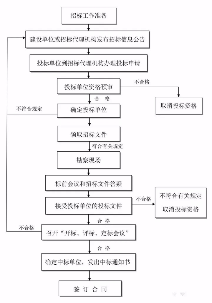 154333387.jpg 2.2.webp.jpg